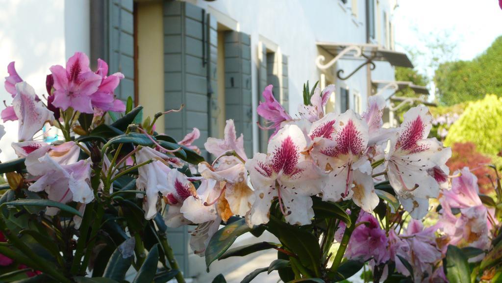 Residenza Serena Mirano Ngoại thất bức ảnh